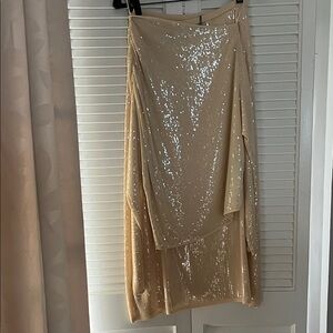 ZARA Sequin Skirt NWT  + matching top Champagne color